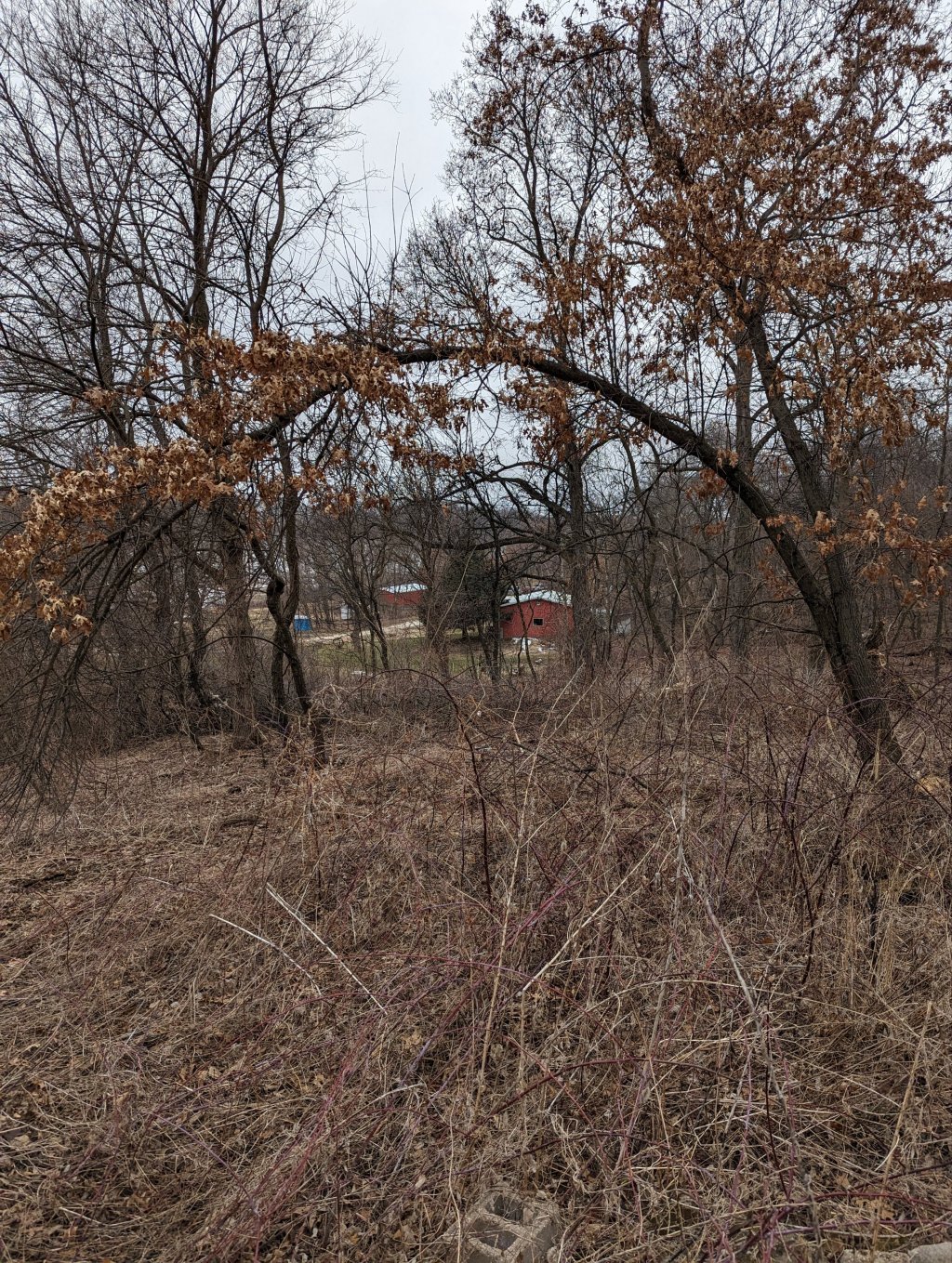 Farley Center’s EARTH CONNECTIONS first&nbsp;thoughts