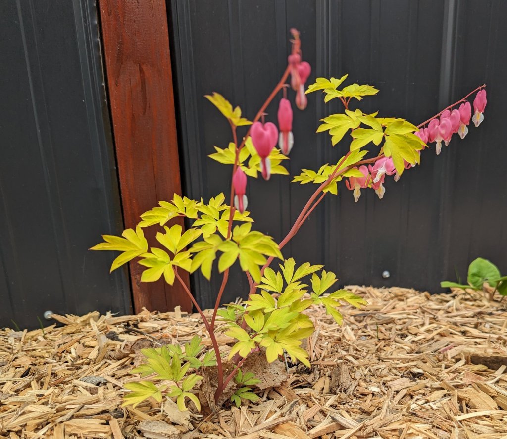 Dare to Paint&nbsp;Abstracts