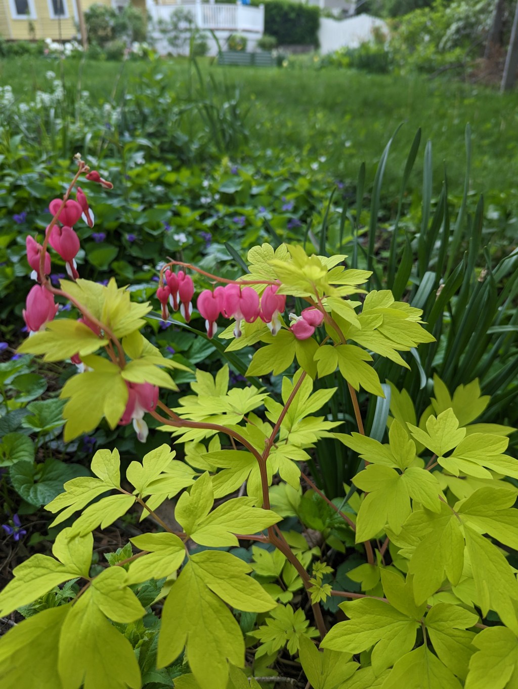 Working towards Abstraction