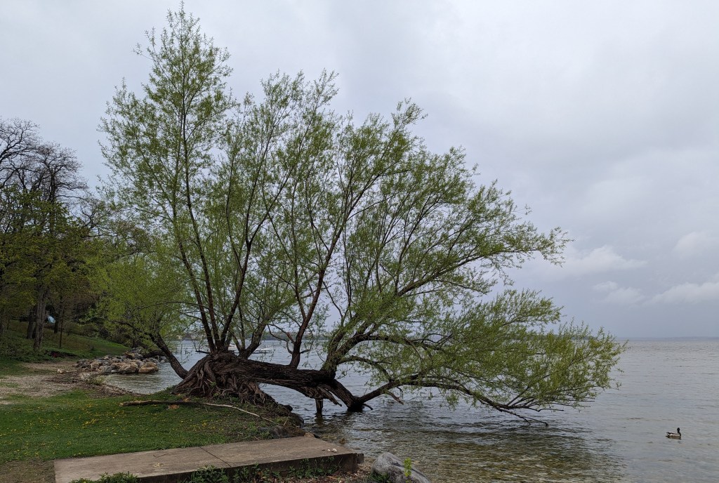 Wandering, I saw&nbsp;this