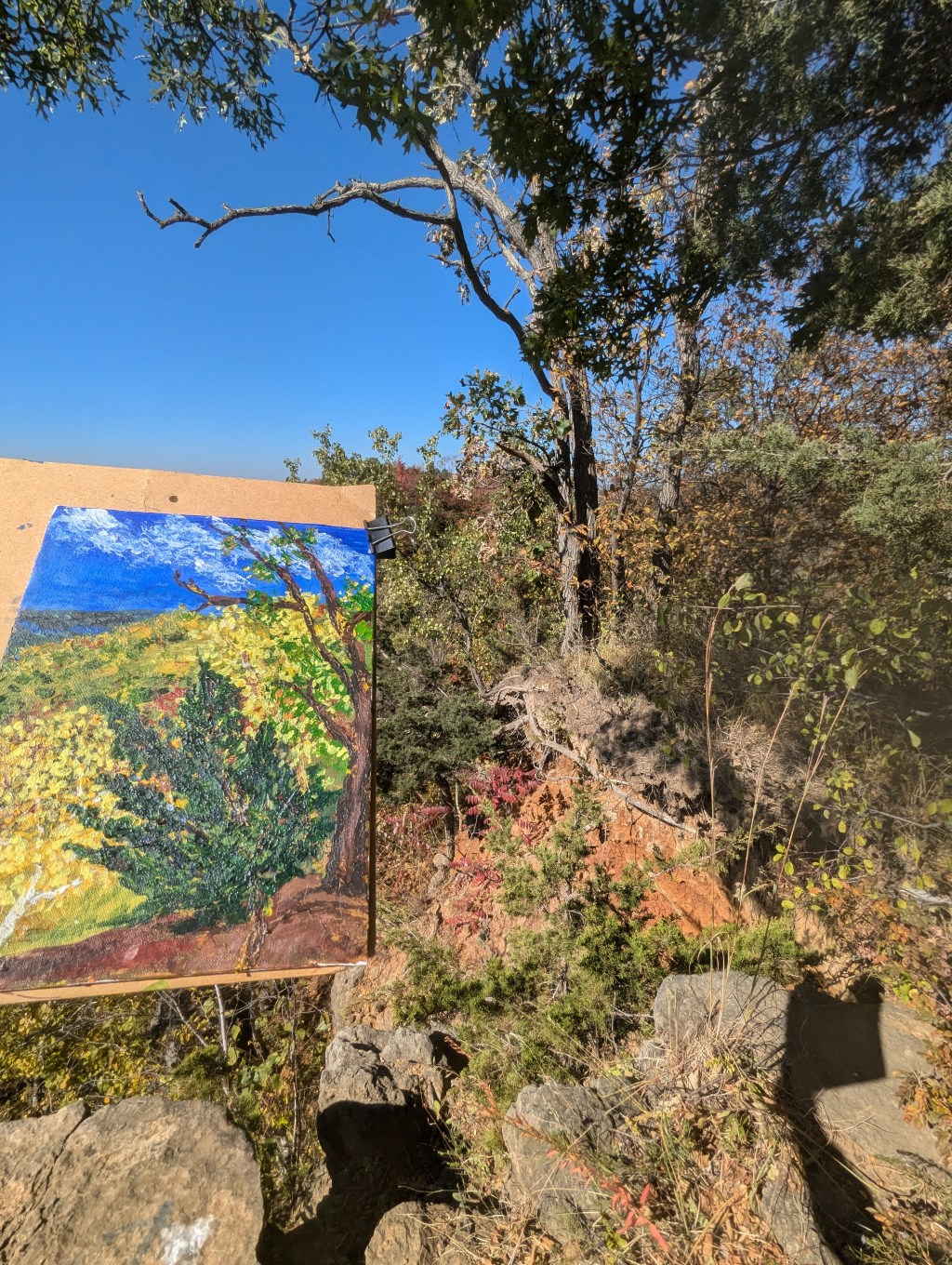 Acrylic Plein Air